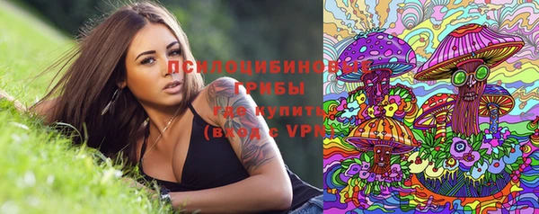 крисы Армянск